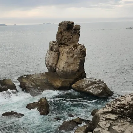 Nature And Flat Lägenhet Peniche
